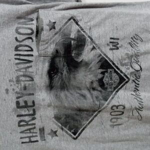 Harley-Davidson Gray Bald Eagle Short Sleeve Pocket Tee Shirt Mens Large